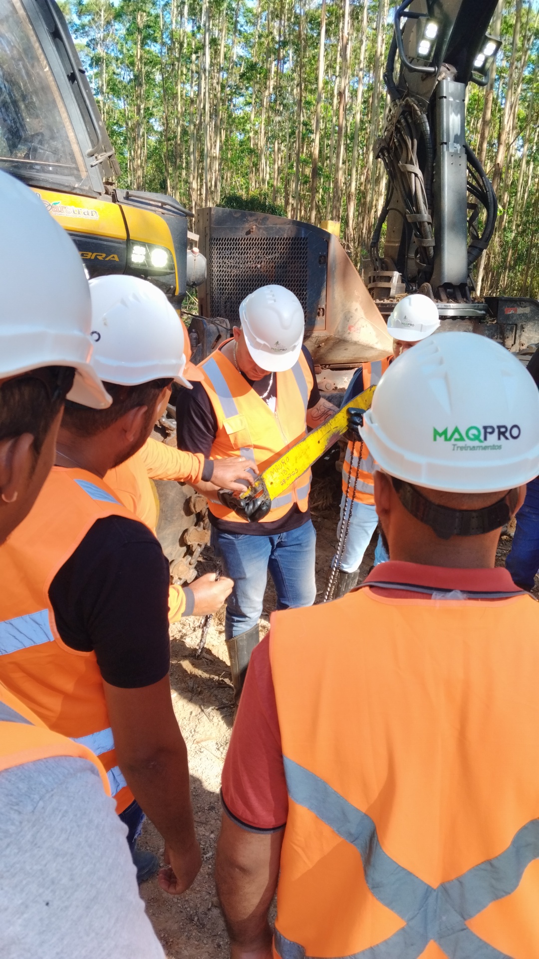 Harvester — Instrução prática de manutenção do sabre