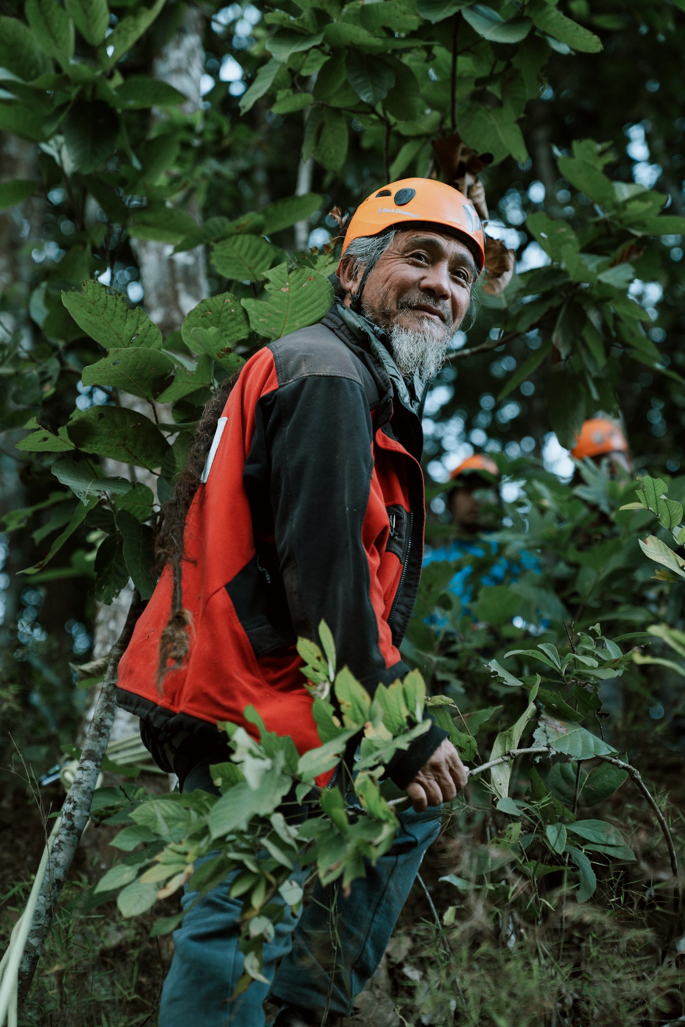 Profissional florestal com capacete e EPIs em campo