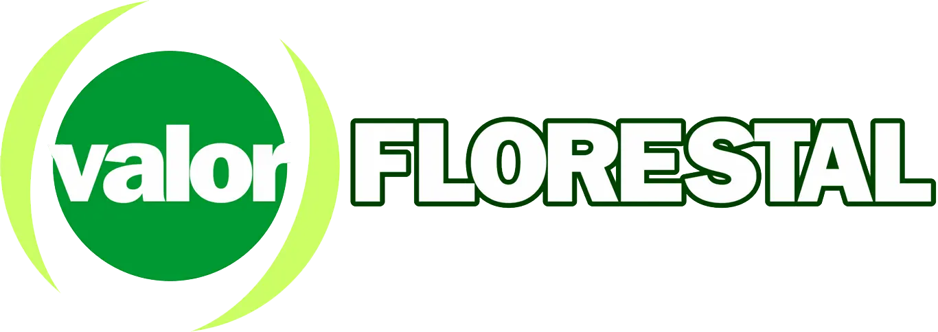 Valor Florestal — empresa do setor florestal
