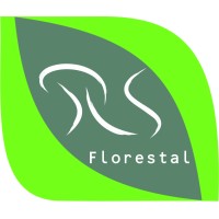 RS Florestal — empresa do setor florestal