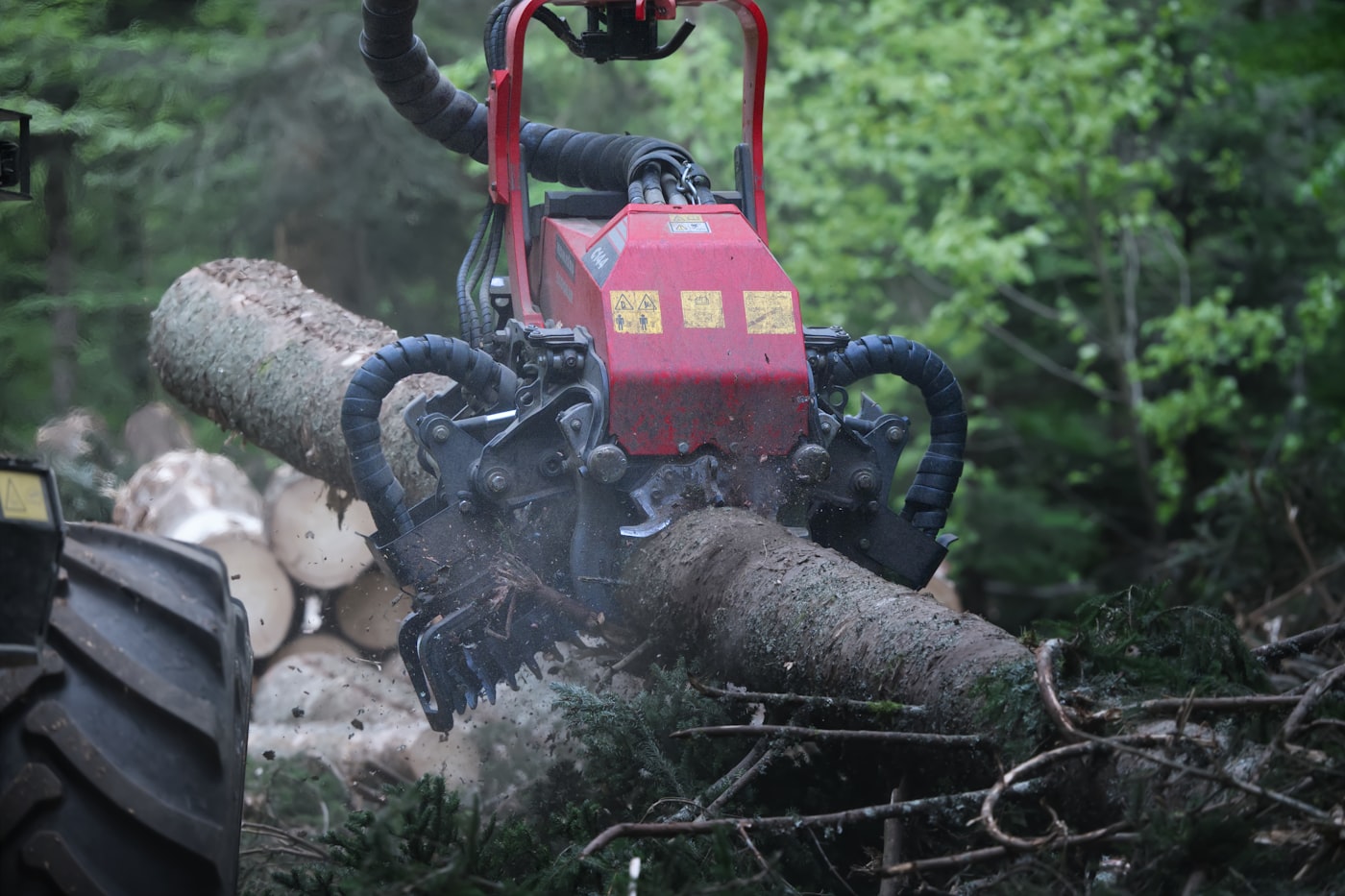 Cabeçote processador de harvester cortando uma tora