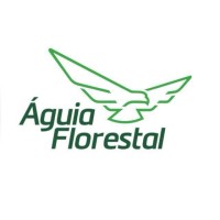 Águia Florestal — empresa do setor florestal