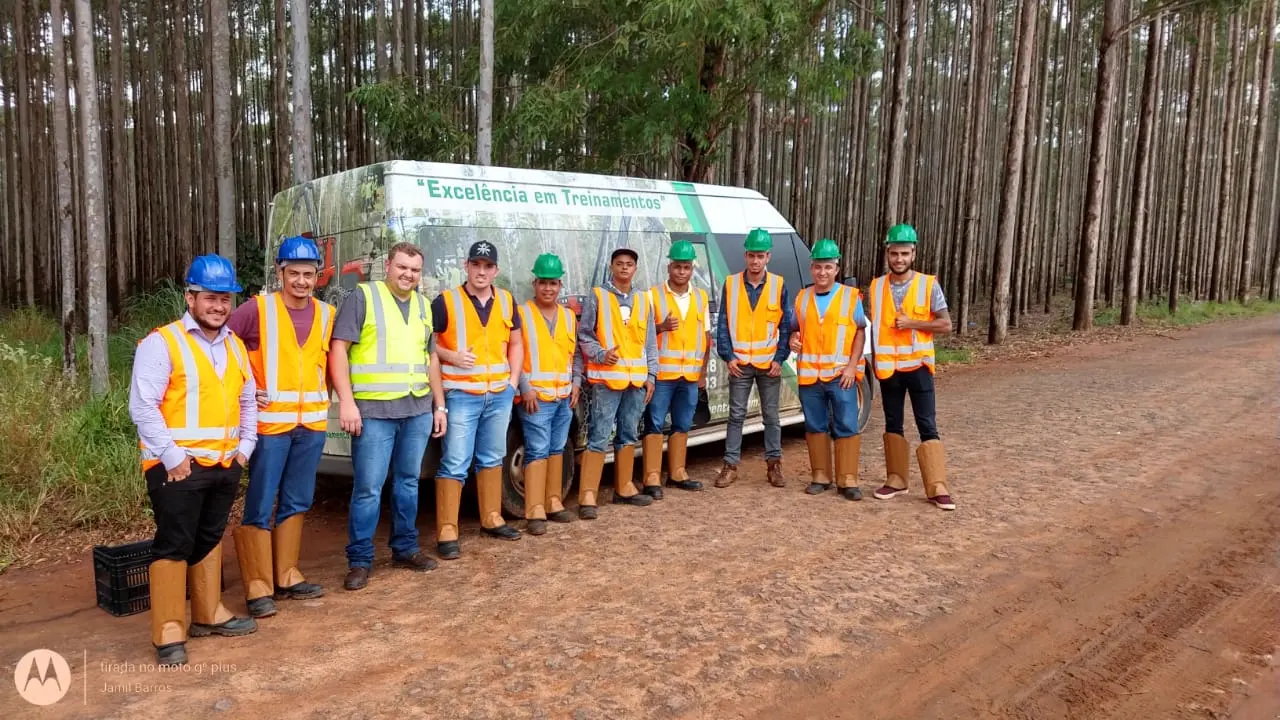 Harvester em operação de colheita florestal mecanizada