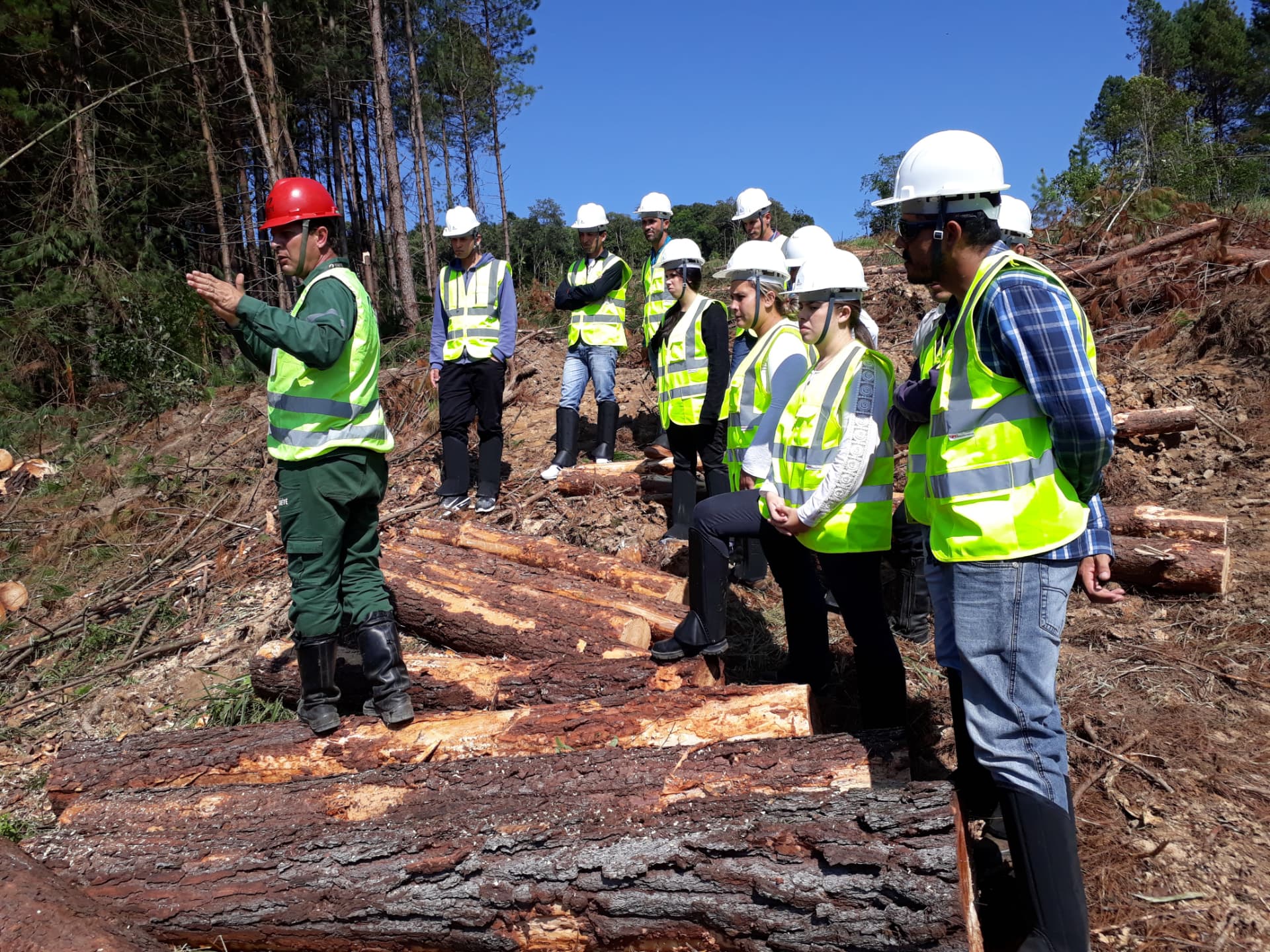 Forwarder — Turma acompanhando a operação em campo