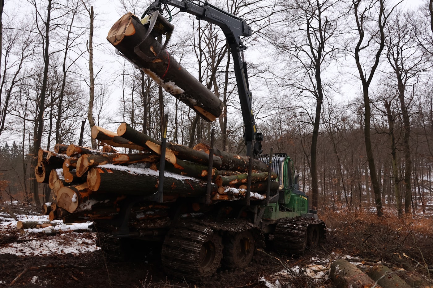 Forwarder florestal carregando toras em frente de colheita