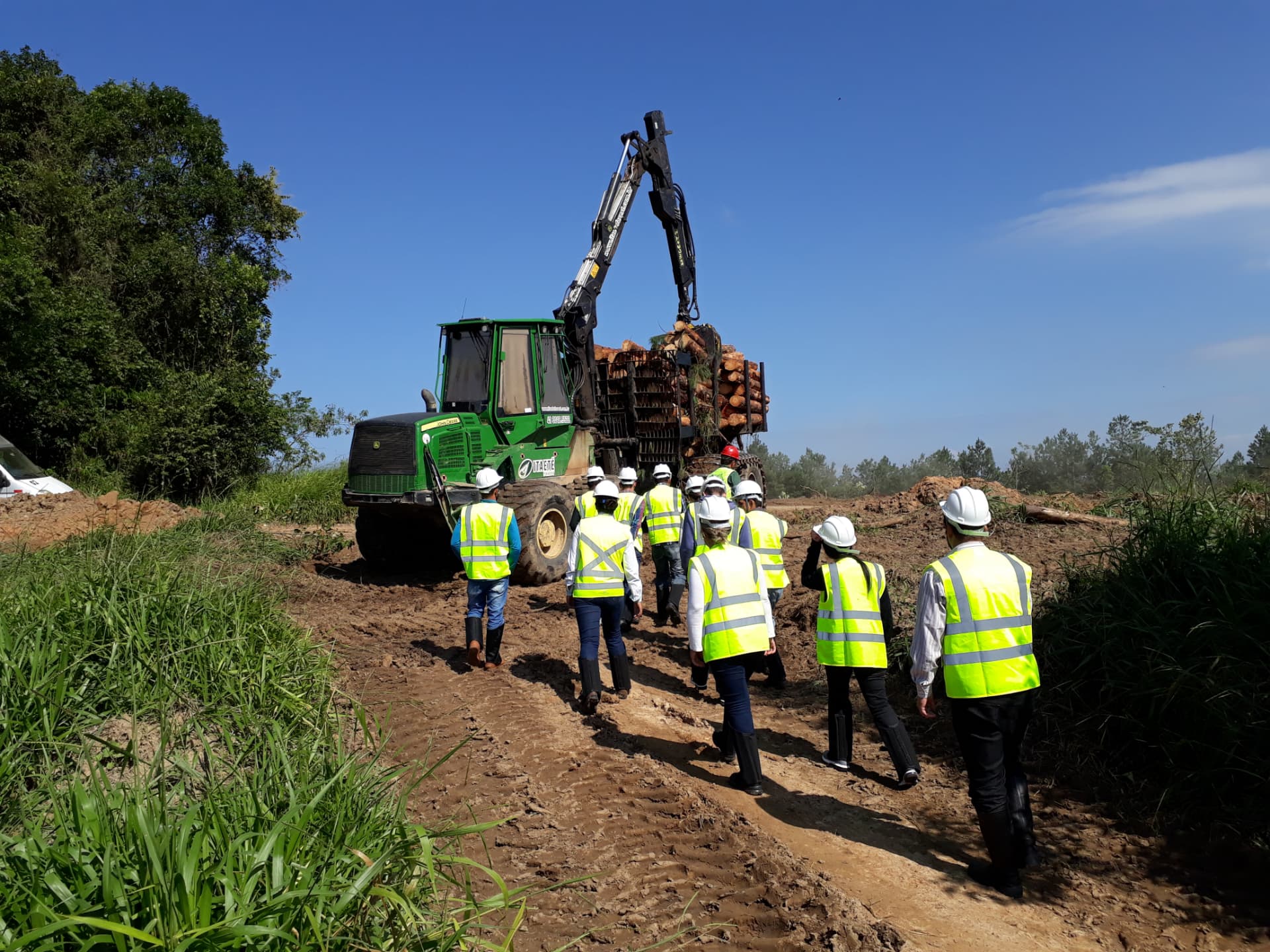 Forwarder — Forwarder carregando toras em campo
