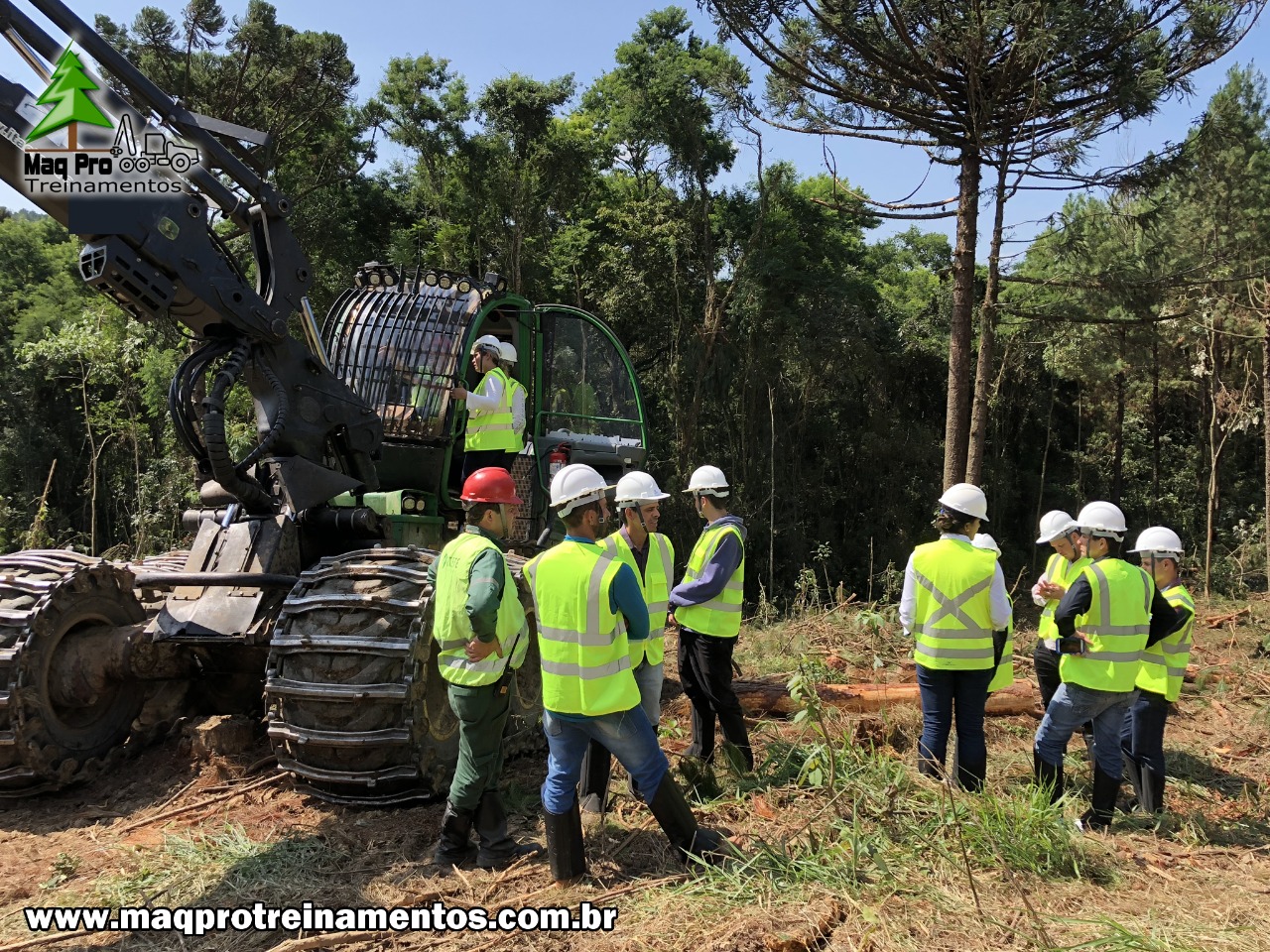 Área de floresta plantada sob manejo