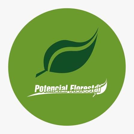 Potencial Florestal — empresa do setor florestal